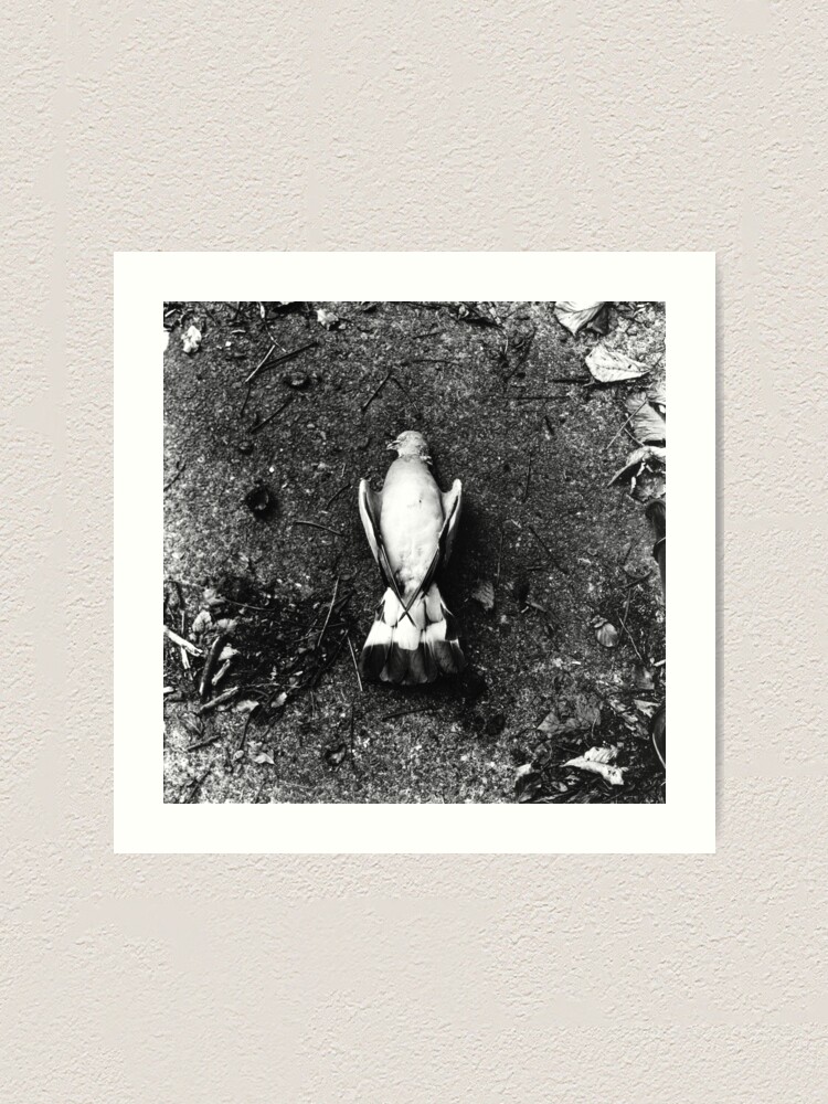 Alternate view of He was already dead, I promise. Phoenix Park, Dublin Art Print