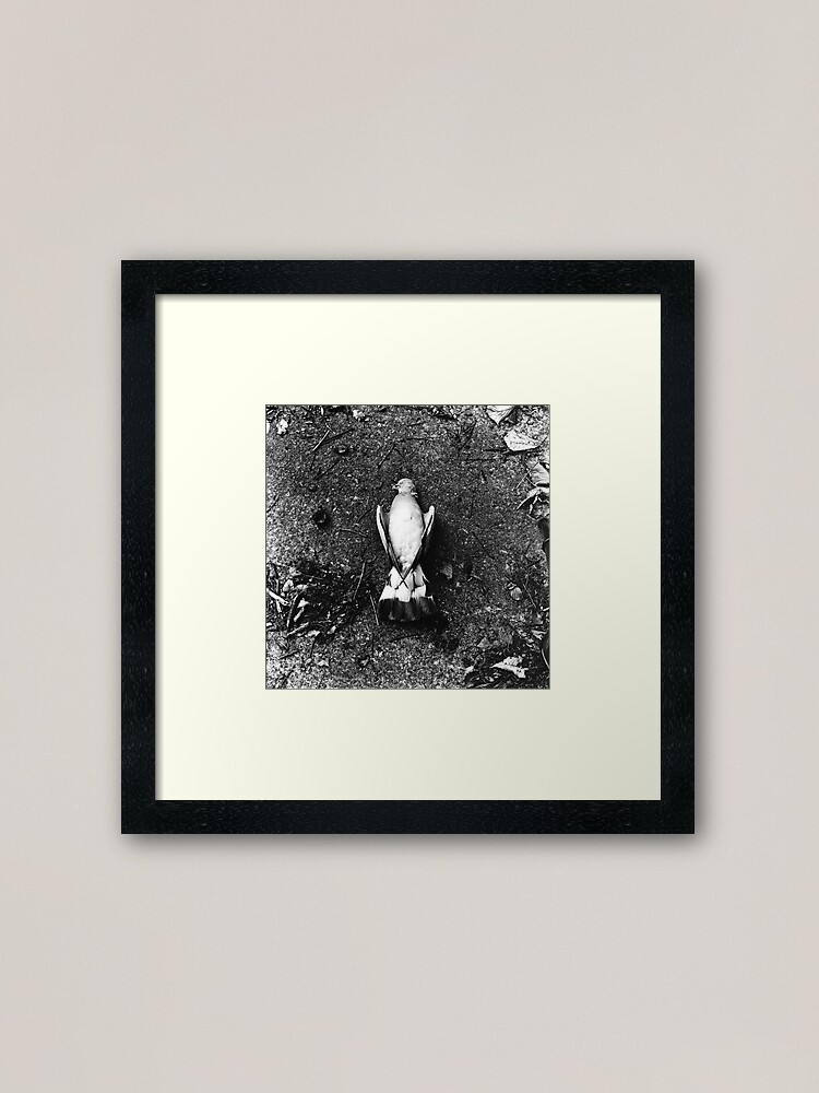 Alternate view of He was already dead, I promise. Phoenix Park, Dublin Framed Art Print