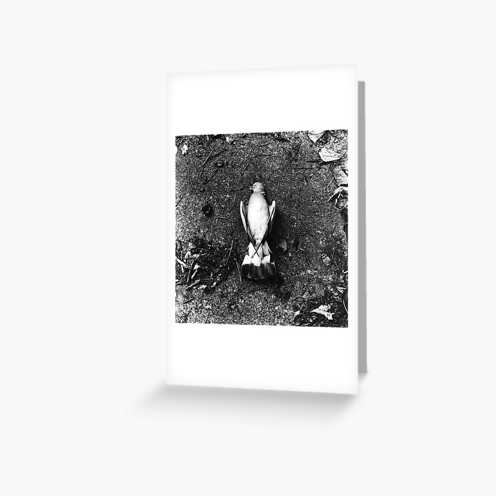 He was already dead, I promise. Phoenix Park, Dublin Greeting Card