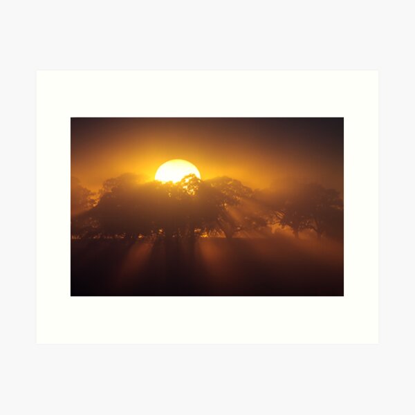 Item preview, ~ Here Comes the Sun ~ designed and sold by LeeoPhotography.