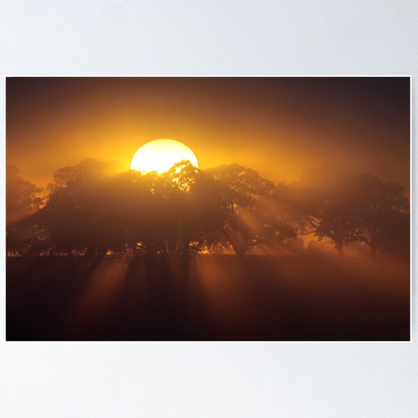 Item preview, ~ Here Comes the Sun ~ designed and sold by LeeoPhotography.