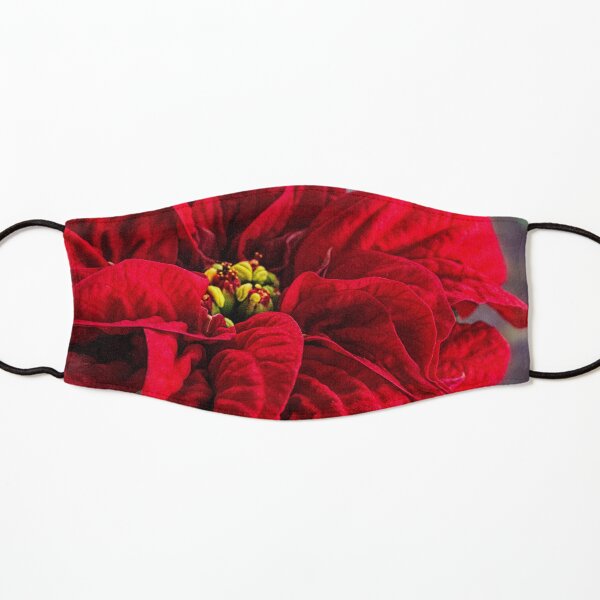 Poinsettia, Winter Rose Kids Mask