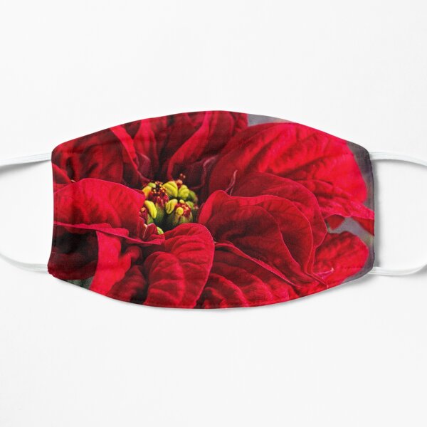 Poinsettia, Winter Rose Mask