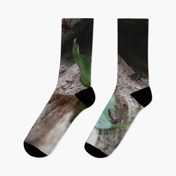 Item preview, RUNAWAY designed and sold by Minuik.