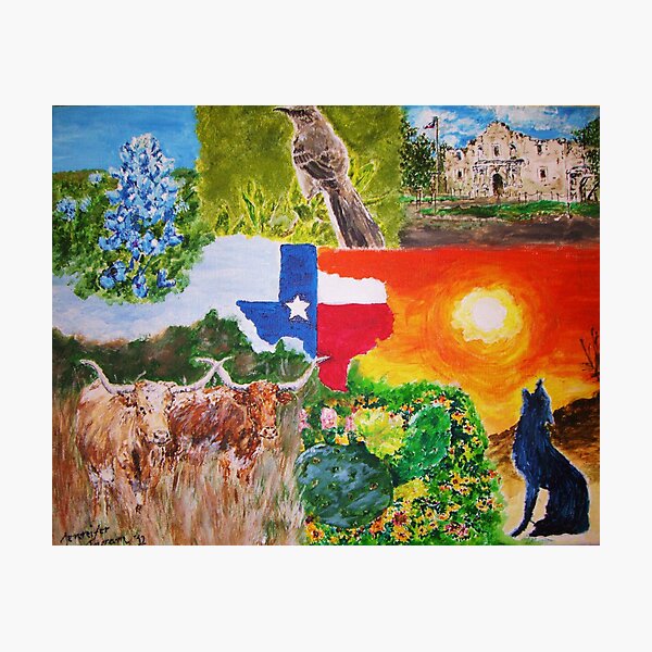 Texas State Collage Photographic Print