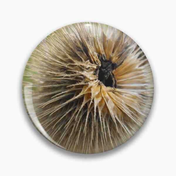 Item preview, spikey designed and sold by Perggals© - Stacey Turner.