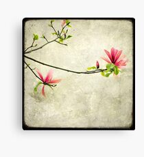 Branche de Magnolia Canvas Print