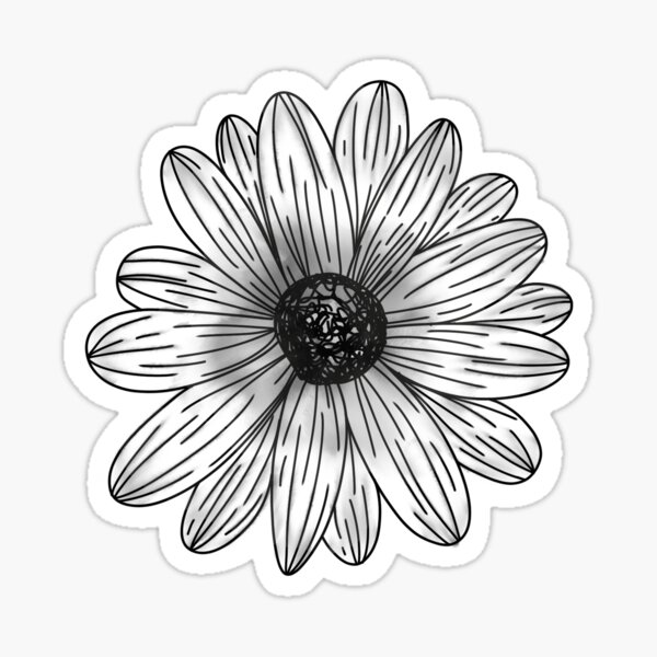 Black and White Watercolor Daisy Doodle Sticker
