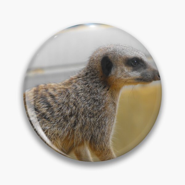 Item preview, cutie in colour designed and sold by Perggals© - Stacey Turner.