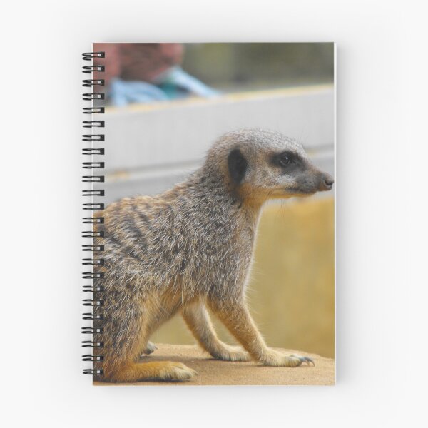 Item preview, cutie in colour designed and sold by Perggals© - Stacey Turner.