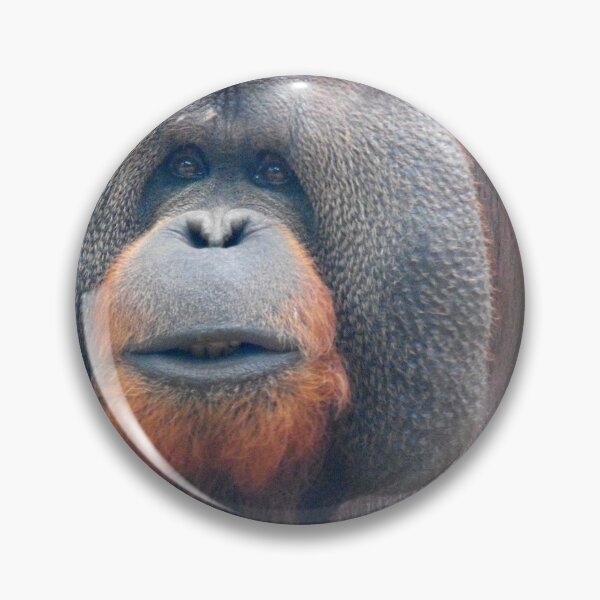 Item preview, Orangutan designed and sold by Perggals© - Stacey Turner.