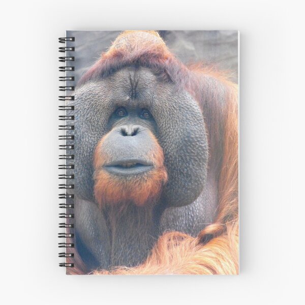 Item preview, Orangutan designed and sold by Perggals© - Stacey Turner.
