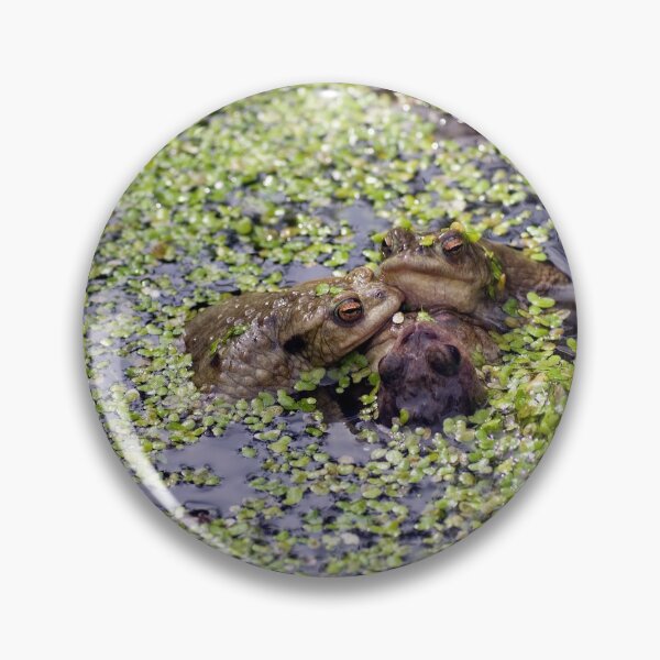 Item preview, Frog meeting designed and sold by davidxgreen.