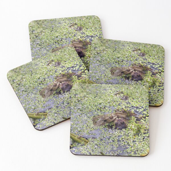 Item preview, Frog meeting designed and sold by davidxgreen.