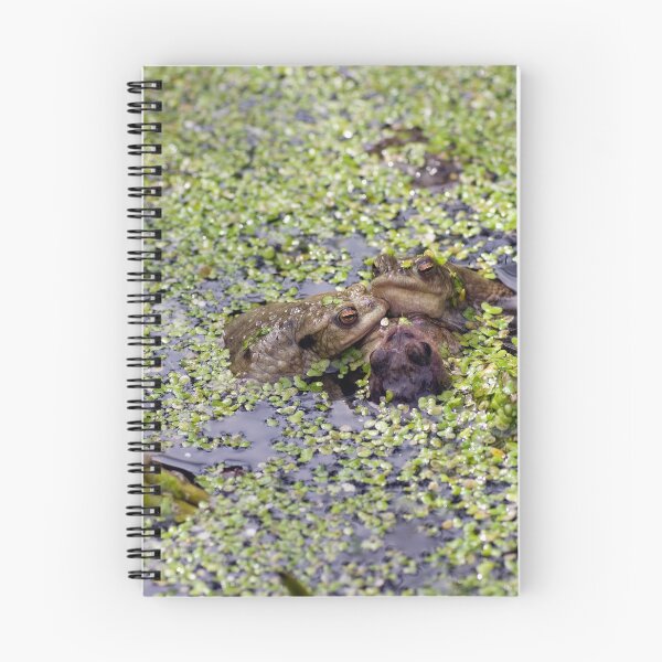 Item preview, Frog meeting designed and sold by davidxgreen.