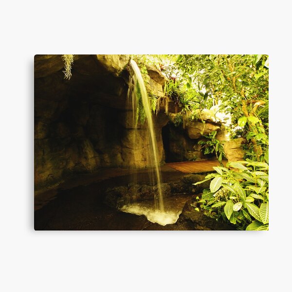Waterfall in the garden Canvas Print