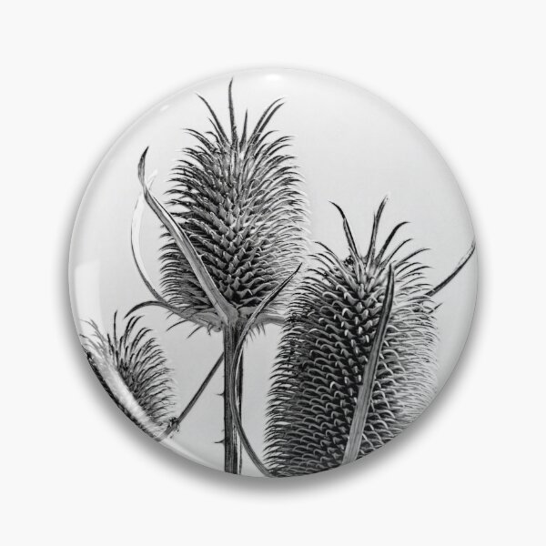 Item preview, Teasel trio designed and sold by Art in Nature.