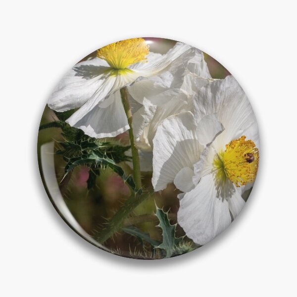 Item preview, Pair of prickly poppies designed and sold by Art in Nature.