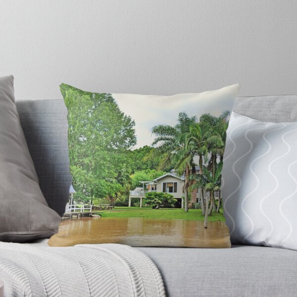 Item preview, Rio Tigre, delta de Paraná. Bnos Aires. Argentina. designed and sold by cieloverde.