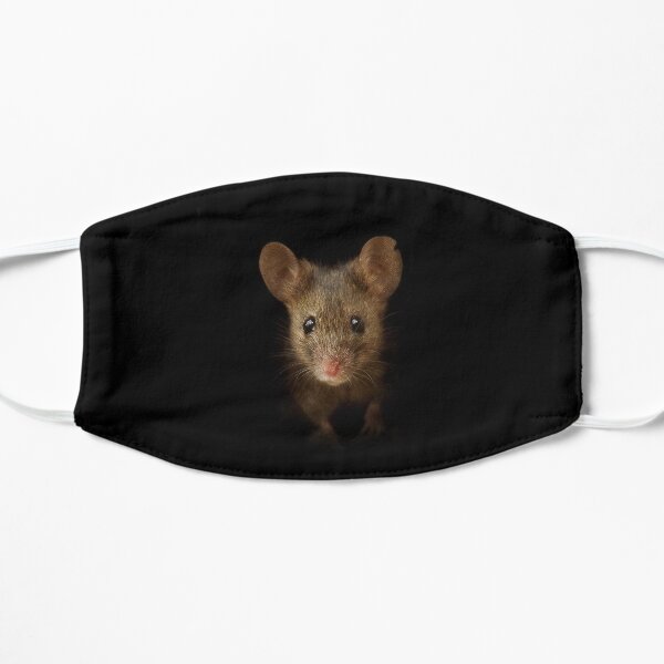George the mouse in a log pile House art black background Flat Mask