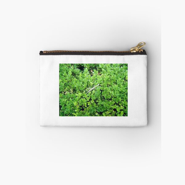 Item preview, Praying Mantis On A Hedge - 01 11 15 designed and sold by robertemerald.