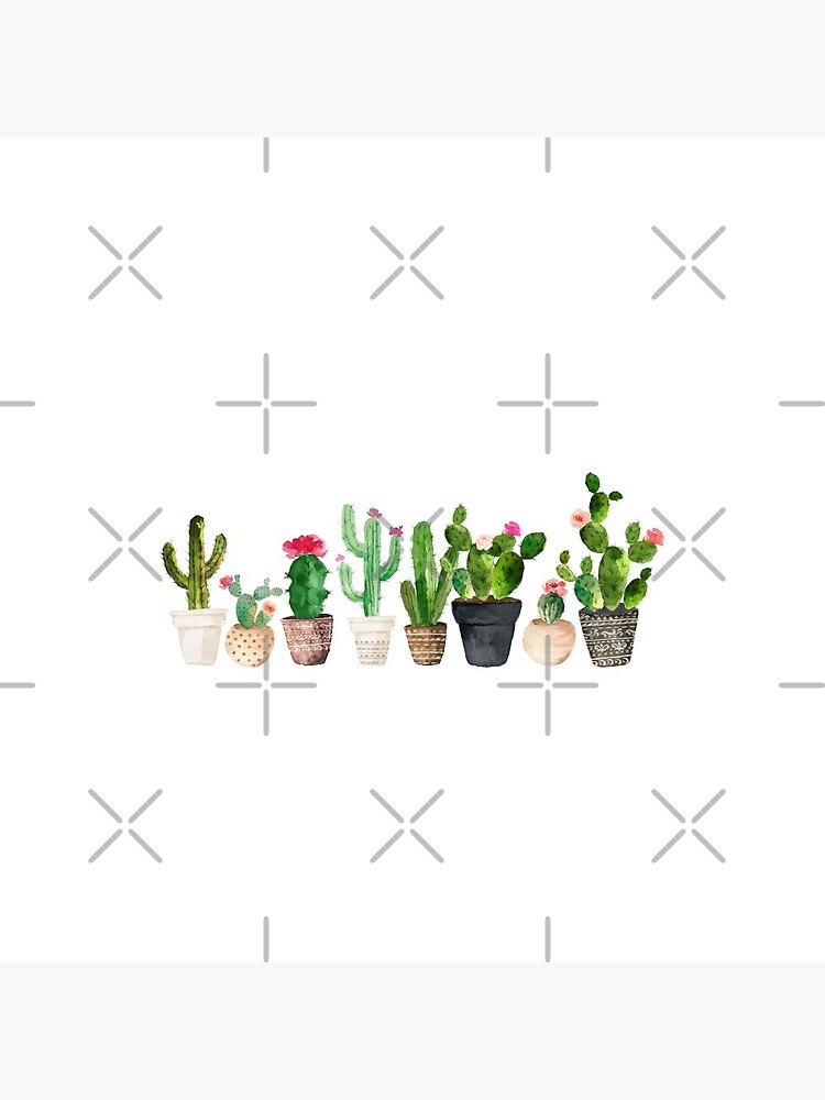 Disover Cactus | Pin