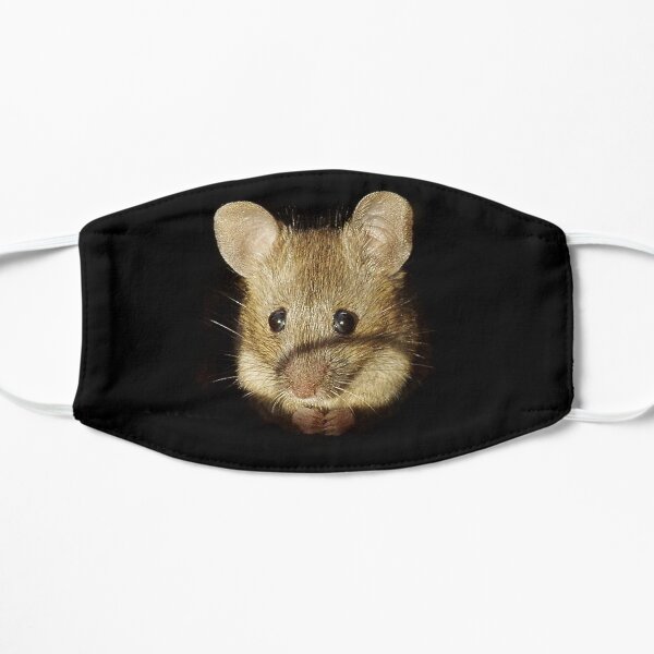 Sad Mouse Mask