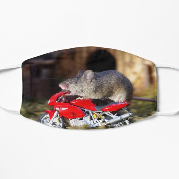 Biker Mouse - make it stop is to fast. Mask