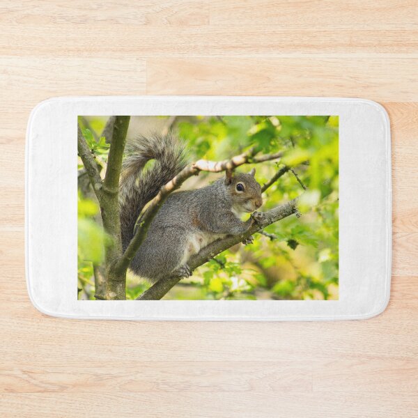 Item preview, Grey Squirrel designed and sold by ellenmpics.