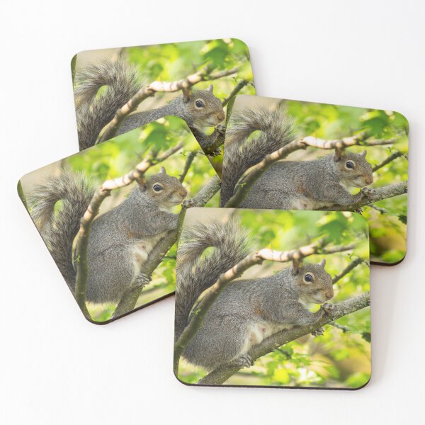 Item preview, Grey Squirrel designed and sold by ellenmpics.