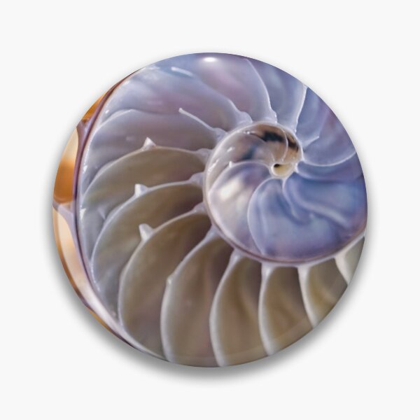 Item preview, Chambered nautilus (square version) designed and sold by Art in Nature.