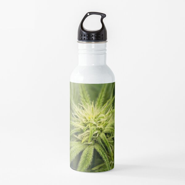 Blooming Black Mamba Water Bottle
