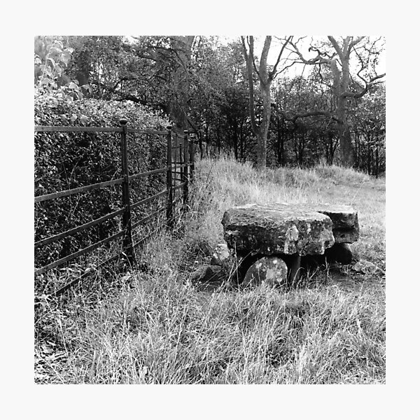 Phoenix Park Dolmen Photographic Print