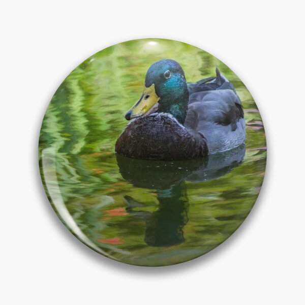 Item preview, Young mallard drake designed and sold by Art in Nature.