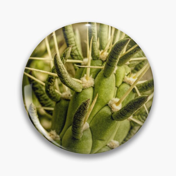 Item preview, Spiny cactus designed and sold by Art in Nature.