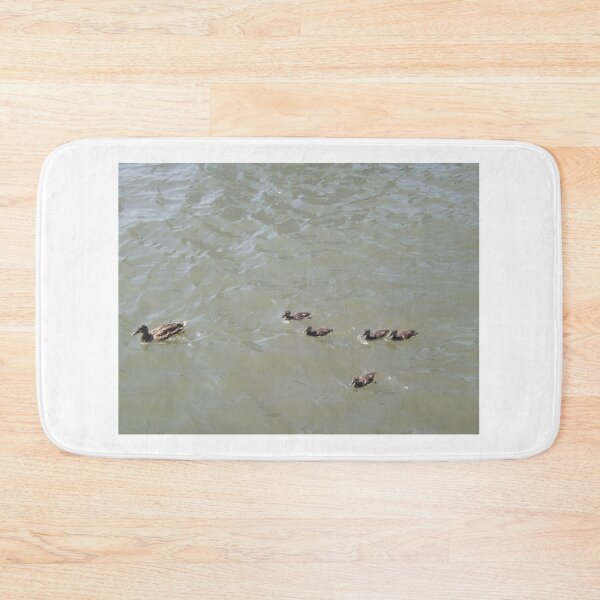 Item preview, A Family of Ducks, Hudson River, New Jersey  designed and sold by lenspiro.