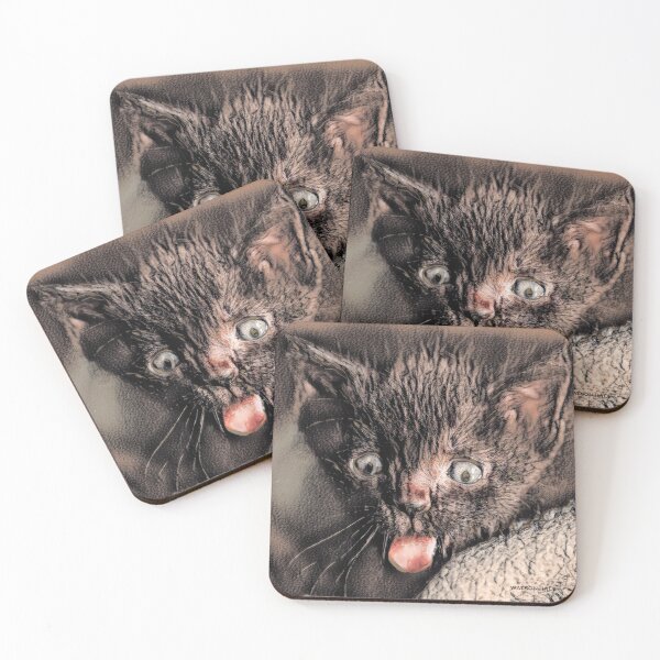 Item preview, The Haka - Kitten Style designed and sold by Marlene Watson-Hall.