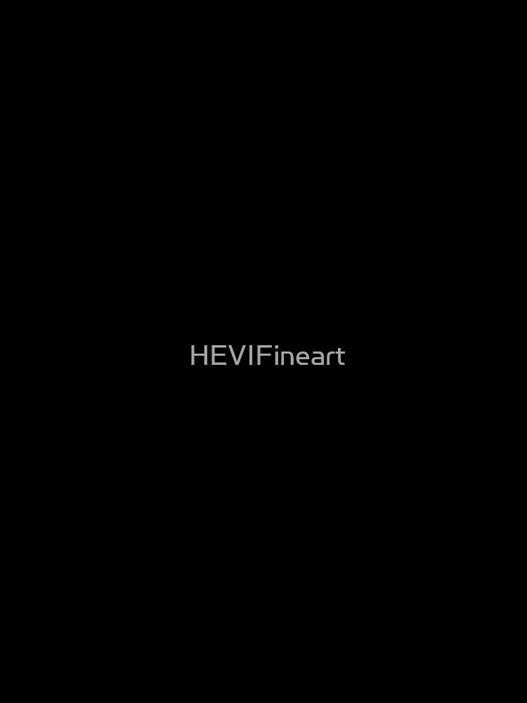 Solid black is the new black by HEVIFineart