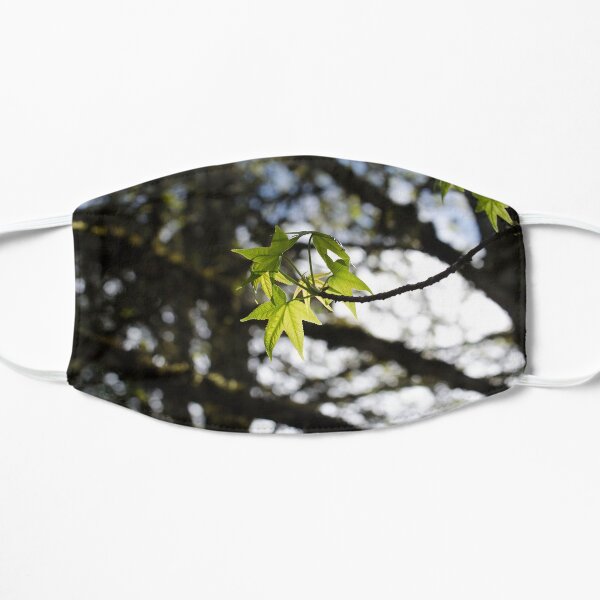 "Light in the Forest" Mask