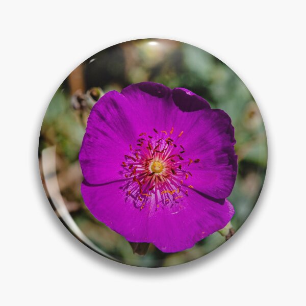 Item preview, Purple and Square designed and sold by Thaddeus Zajdowicz.