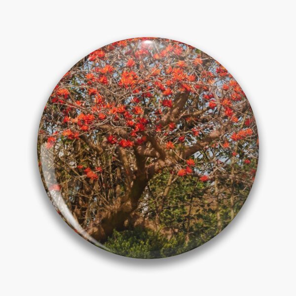 Item preview, Coral tree ablaze with blooms designed and sold by Art in Nature.