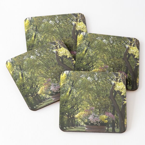Item preview, Colorful Flowers, Autumn Colors, Central Park, New York City designed and sold by lenspiro.