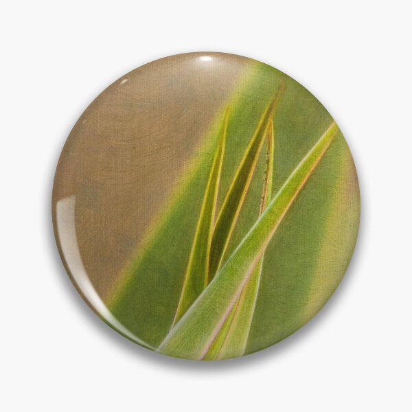 Item preview, Sharp aloe, soft aloe designed and sold by Art in Nature.