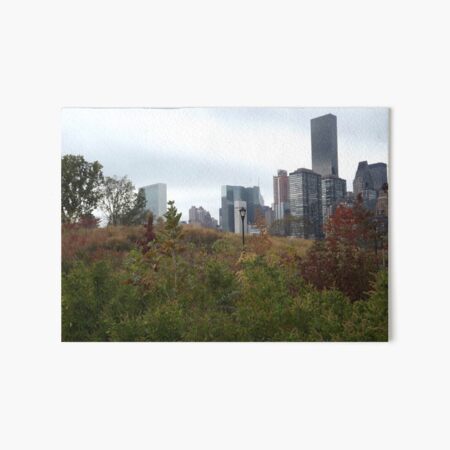 Artikel-Vorschau von Herbstfarben, Roosevelt Island, Skyline von Manhattan, New York City, designt und verkauft von lenspiro.