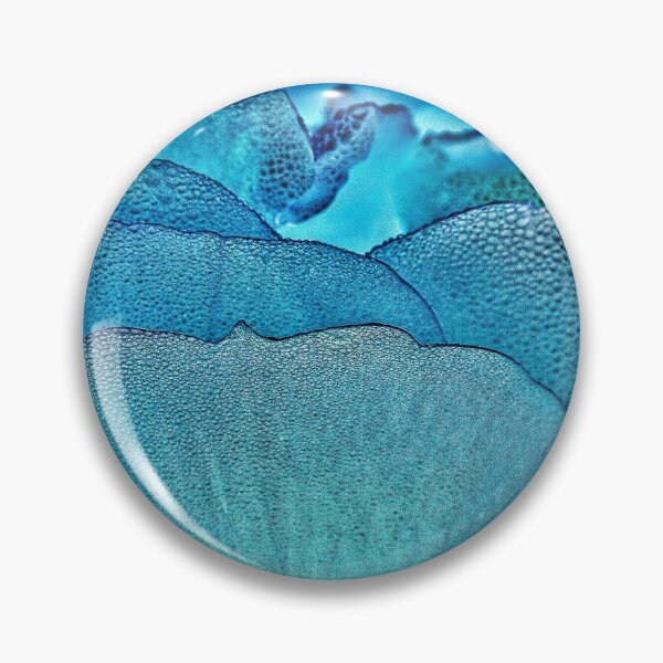 Item preview, Rose from an inverted universe designed and sold by Art in Nature.