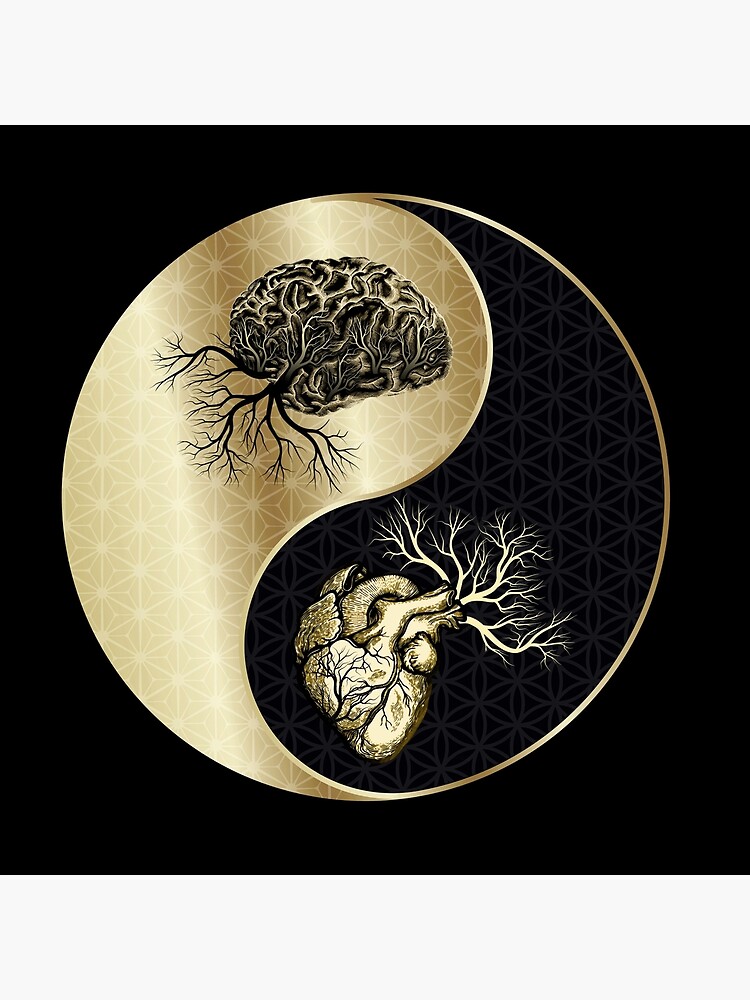 ＊韓国＊［YIN AND YANG IN HARMONY］Melody half sleeve 3color Amazon.com: Yin Yang in Harmony T-Shirt : Clothing, Shoes