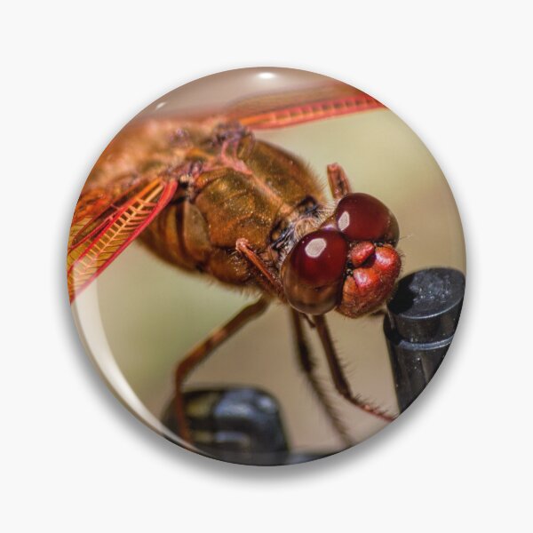 Item preview, How do you turn this thing on? designed and sold by Art in Nature.