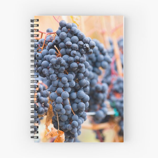 Item preview, Shiraz Grapes designed and sold by Kevin Miller Photography.