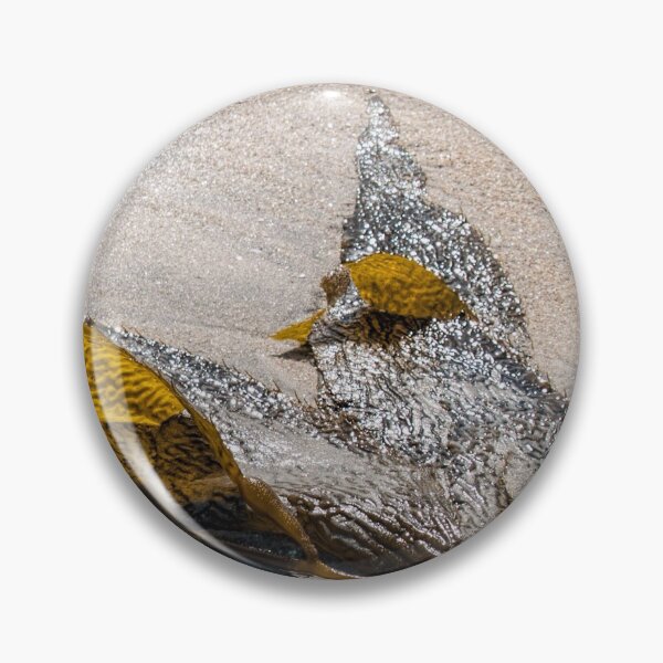 Item preview, Backlit seaweed designed and sold by Art in Nature.