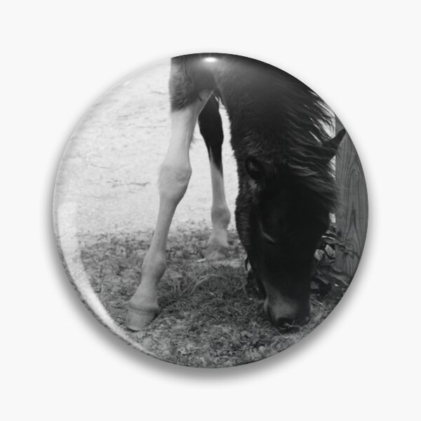Item preview, Assateague Pony designed and sold by dancingbubbles.